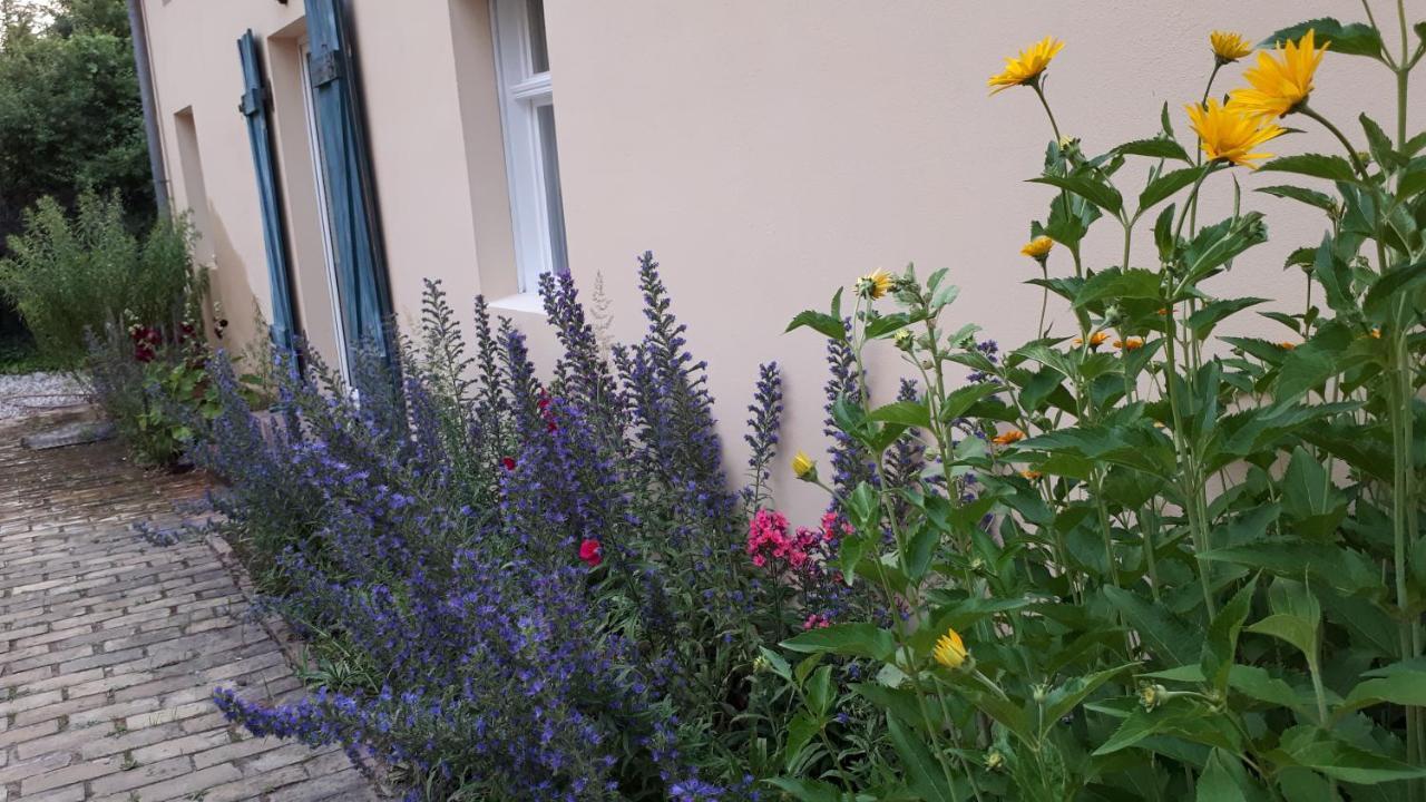 Blumenhaus Apartment Velten Exterior photo